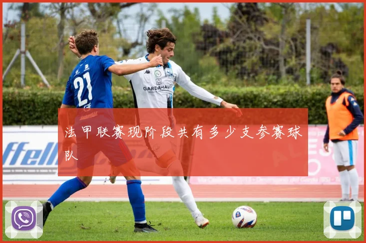 法甲联赛现阶段共有多少支参赛球队