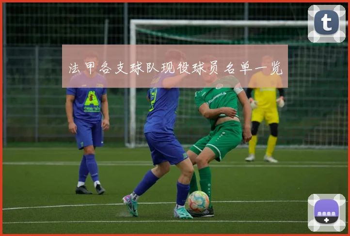 法甲各支球队现役球员名单一览