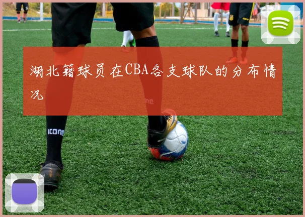 湖北籍球员在CBA各支球队的分布情况