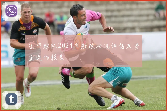 法甲球队2024年财政状况评估及资金运作报告