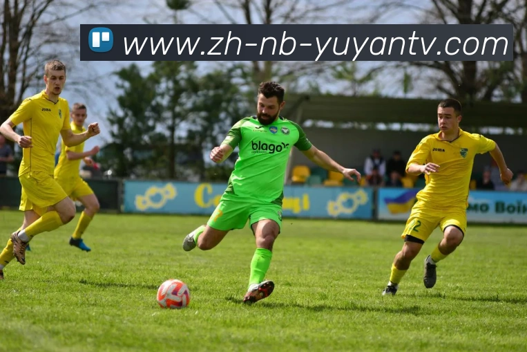 多媒体互动体验